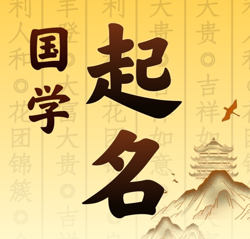 陆良国学起名 人工起名一对一